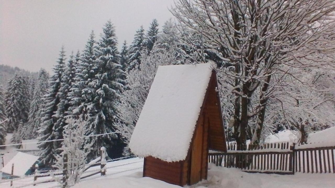 Hotel Marichka Yablunytsya Esterno foto